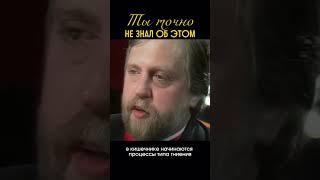 Живая пища основа #пп #питание #веган #вегетарианство #зож #безмяса