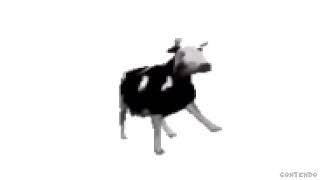 64 bits 32 bits 16 bits 8 bits 4 bits 2 bits 1 bit   Polish Cow