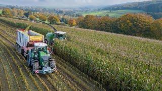 Maize 2024 / Fendt Katana 650 / Entreprise Lapraille / Ardennes / Corn silage harvest