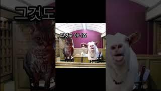 최고의 반박 #반전 #꿹스코드 #고양이밈 (음원출처:이꿹)
