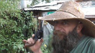 WHAT was THAT? A BEAR or ???! It is a JUNGLE Down There #outdoors #wildlife #homestead #offgrid