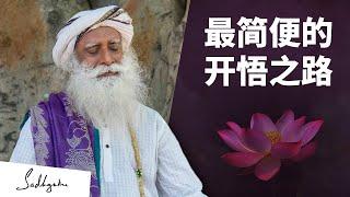 达到开悟的最简便方法 | Sadhguru 萨古鲁