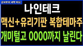 나인테크 맥신+유리기판 복합 테마주 개미털고 0000까지 날린다 목표가분석 실시간대응전략