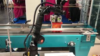 Kassow Robots application - Packaging