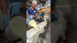 500 kg. Bulk Paneer Making