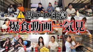 【作業・寝落ち用】爆食い動画一気見！【平成フラミンゴ　切り抜きch】