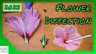 FLOWER DISSECTION: Reproduction in Flowering Plants Virtual Lab | Virtual Science Shorts