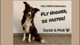 Pink - Fly Higher, Be Faster - by Dani Lehrer