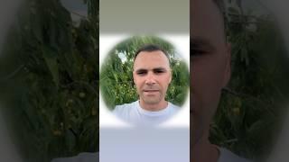 Пастырь это пункт благодати для спасения!