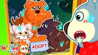 Pet Adopt Song - Having New Super Pets | Kids Songs & Nursery Rhymes @WolfooFamilySongs