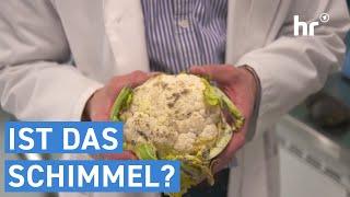 Ist das Schimmel? | Alles Wissen