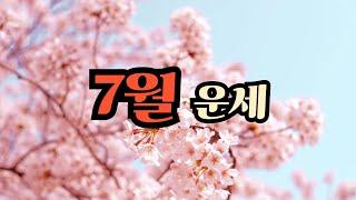 7 🈷️ 운세-재물운,사업운,직장운,건강운,주의점 [소혜사주]