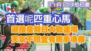 首選呢匹重心馬，迎接星期日連場大戰，天氣不穩宜有兩手準備，11月17沙田日賽