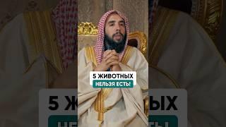 5 животных мясо, которых нельзя есть! | Шейх Халид Аль-Мушейких