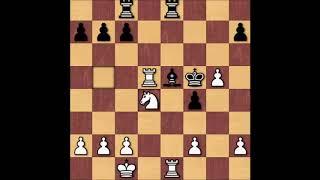 Ye Jiangchuan vs Ni Hua 2004 FIDE World Championship Tournament