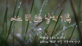 평범한 주부의 자작시 ASMR / 어느 비오는 날의 기록 / 영화같은 영상