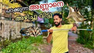 എന്തിനാ എല്ലാത്തിനെയും അഴിച്ചു വിട്ടത് | Backyard forest for flying Squirrels