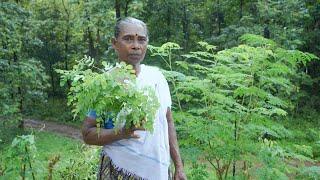 Healthy Kerala Style  Moringa Leaf Chutney | Muringa Ila Chammanthi