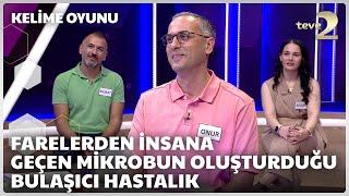 Farelerden insana geçen mikrobun oluşturduğu bulaşıcı hastalık | Kelime Oyunu