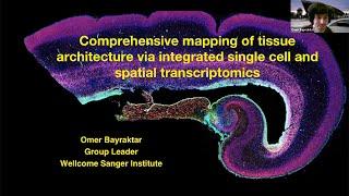 Comprehensive mapping of tissue architecture via integrated single cell and spatial transcriptomics