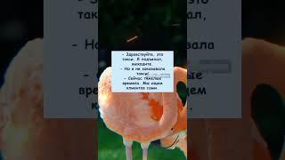 Анекдот дня #настроение #анекдот #прикол #юмор #анекдоты #мем #смех #приколы