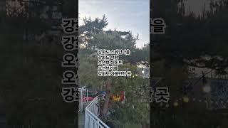 #강화도스페인마을 #강화도여행 #강화도명소 #강화도가볼만한곳 #오션뷰카페 #라이브카페 #스페인음식 #오션뷰펜션 #강화카라반펜션 #요트펜션 #반려견호텔 #반려견산책 #오션뷰카라반