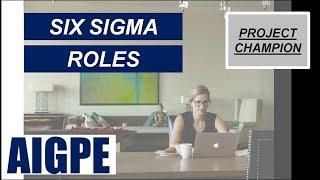 What are the different Six Sigma Project Roles? - Part 01 (FREE Mini Course Series)