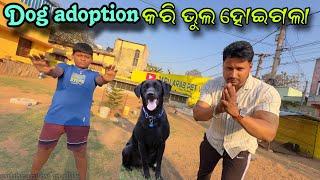 Dog Adoption କରି ଭୁଲ ହୋଇଗଲା || Mini Zoo Odisha || Animal Lover Odisha || Labrador Dog ||