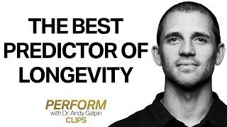 Building VO2 Max Is Critical for Longevity & Overall Health | Dr. Andy Galpin