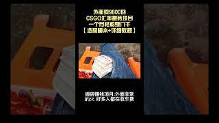 【网赚精品】外面9800的CSGO汇率搬砖项目，一个月轻松赚几千【选品脚本+详细教程】丨网赚教程丨赚钱项目丨网赚平台丨被动收入丨软件破解丨2023赚钱的项目丨网赚项目丨网赚实战丨网赚分享
