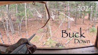 Shooting And Tracking A Maine Buck/2024 Hunting Season (8 Point)