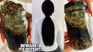 The Hair Growth Oil that Transformed Our Hair to its Thickest & Longest! 