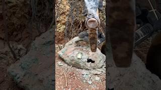 Treasure found [GOLD] Using Metal Detector  #treasurehunt #metaldetecting