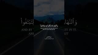 ‌‎أكتب شيء تؤجر عليه ️ #سورة #سورة_القصص #عبدالباسط_عبدالصمد