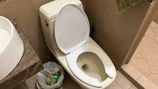 283. 2000s Lamosa Velezza Toilet.