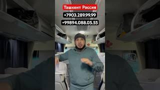 Узбекистан Россия Ташкент Москва Краснодар Новосибирск автобус рейс #ташкент #москва #автобус#прямой