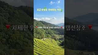  지금 당장 달려가세요 