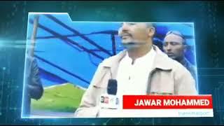 hasawa mihawa tokko Jawar Mahmmad dubate dhagefadha