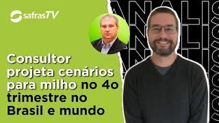 Consultor de Safras detalha cenários para milho no 4o trimestre e em 2025