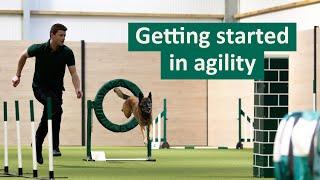 How to get started in Dog Agility | Dog Tips and Tricks