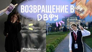 первый ВЛОГ: возвращение в ДВФУ/ волонтёрство на ВЭФе, друзья, Владивосток  #двфу #общежитие