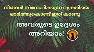 ️ അവർ നിങ്ങൾക്കായി എടുത്ത തീരുമാനം എന്താണ്? അവരുടെ ഉദ്ദേശമറിയാം!