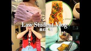 Law School Diary #12  在LSE的课就上到这里了！｜last week recording