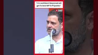 Rahul Gandhi expresses confidence in Priyanka's dedication to Wayanad, promising a leader who cares