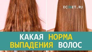 Какая норма выпадения волос | ECONET.RU