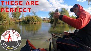 Baitech Rodmasters Day Three | Live Match Fishing | Lindholme Lakes