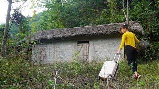 CEO girl farm returns to old house in the countryside surprised by plants - Start to Finish Clean Up