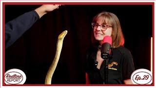 How to Train your Snake with @LoriTorrini - Redline Report Ep.29