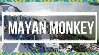 El Hostal más COOL de Cancún! Descubre el Mayan Monkey