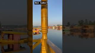 #kashmir #srinagar #jammuandkashmir #jammu #pahalgam #india #indianarmy #ipl #viratkohli #nature